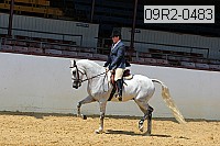 09r2-0483 proof