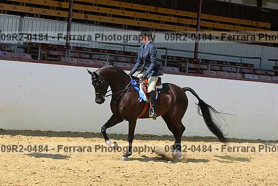 Proof 09r2-0484