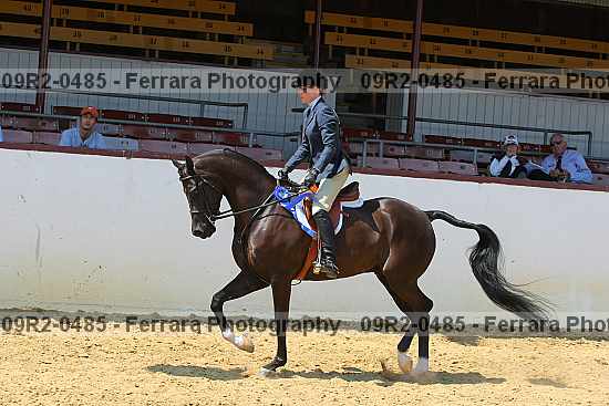Proof 09r2-0485