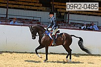 09r2-0485 proof