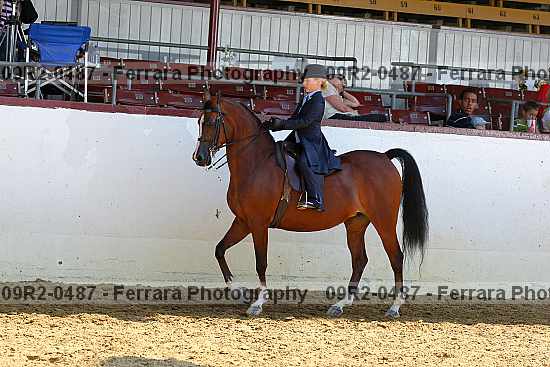 Proof 09r2-0487