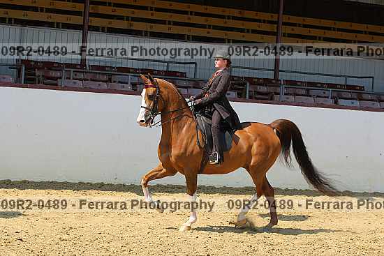 Proof 09r2-0489
