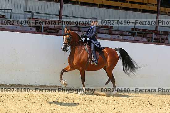 Proof 09r2-0490