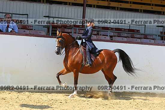 Proof 09r2-0491