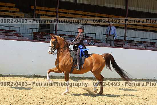 Proof 09r2-0493