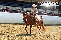 09r2-0494 proof