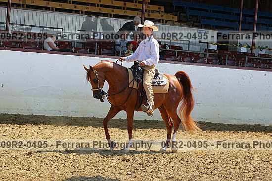 Proof 09r2-0495