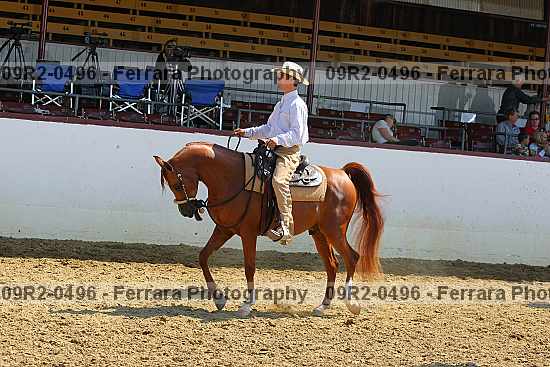 Proof 09r2-0496