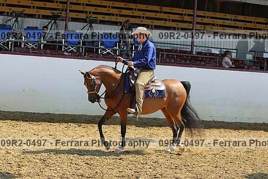 Proof 09r2-0497