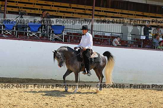 Proof 09r2-0499