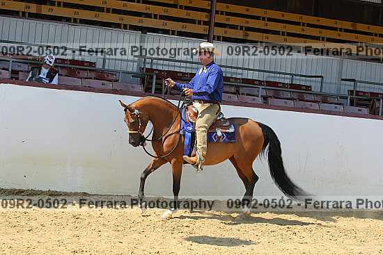Proof 09r2-0502