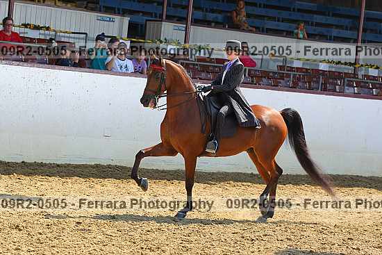 Proof 09r2-0505
