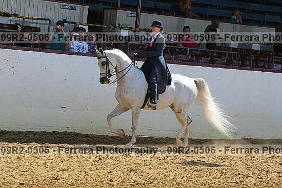 Proof 09r2-0506