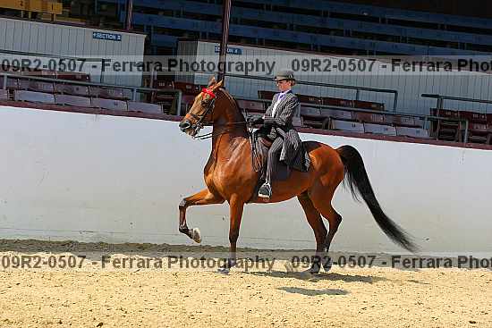 Proof 09r2-0507