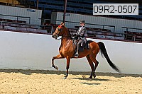09r2-0507 proof