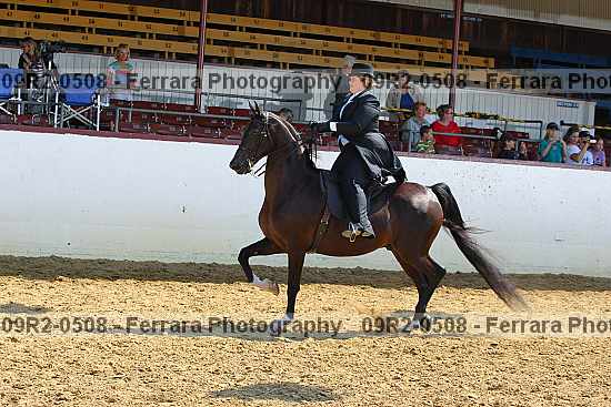 Proof 09r2-0508