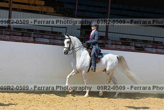 Proof 09r2-0509