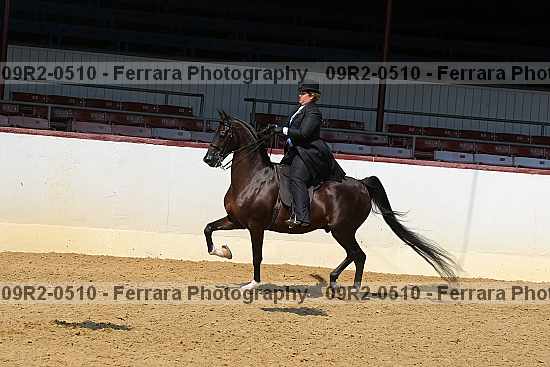 Proof 09r2-0510