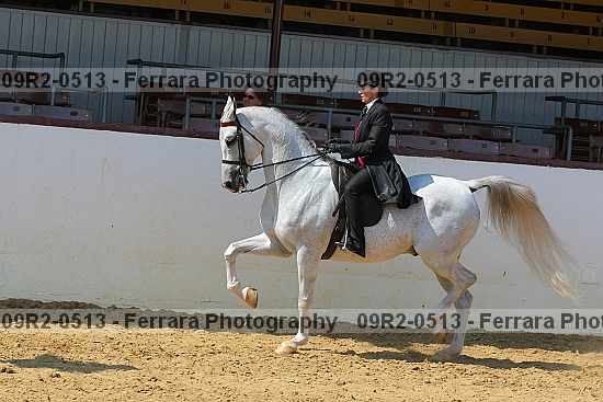 Proof 09r2-0513