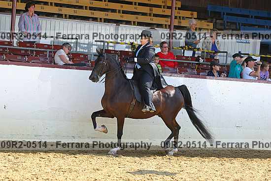 Proof 09r2-0514
