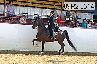 09r2-0514 proof