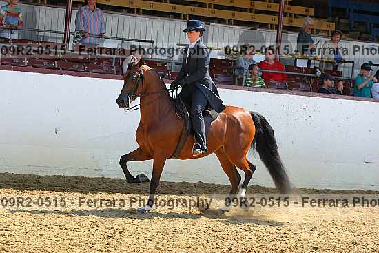 Proof 09r2-0515