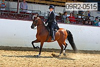 09r2-0515 proof