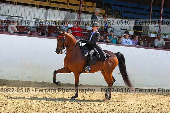 Proof 09r2-0516