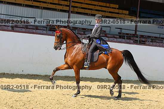 Proof 09r2-0518