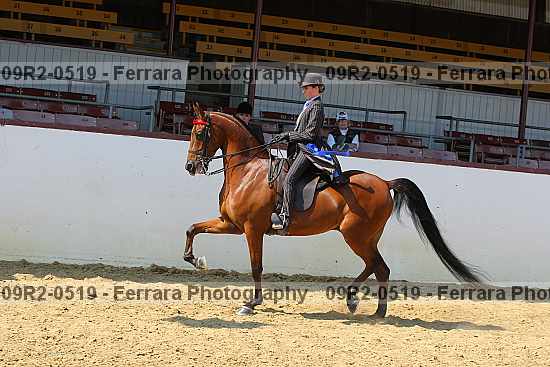 Proof 09r2-0519