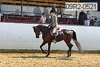 09r2-0521 proof