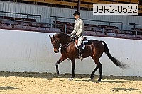 09r2-0522 proof