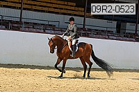 09r2-0523 proof