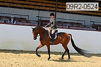 09r2-0524 proof