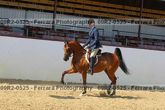 Proof 09r2-0525
