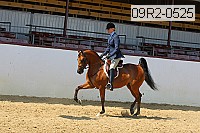 09r2-0525 proof