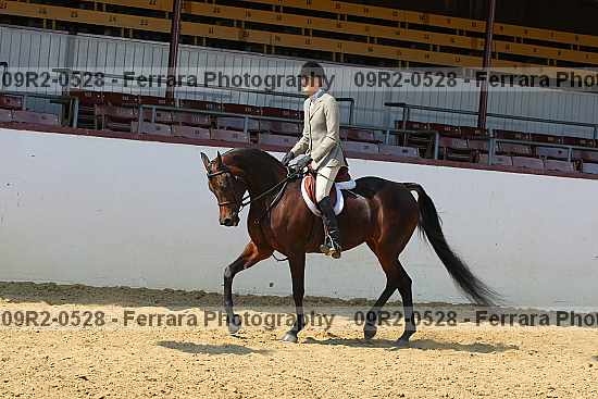 Proof 09r2-0528