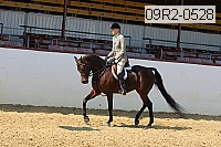 09r2-0528 proof