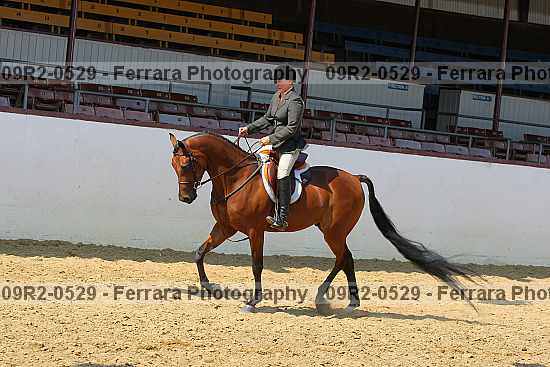 Proof 09r2-0529