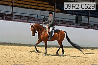09r2-0529 proof