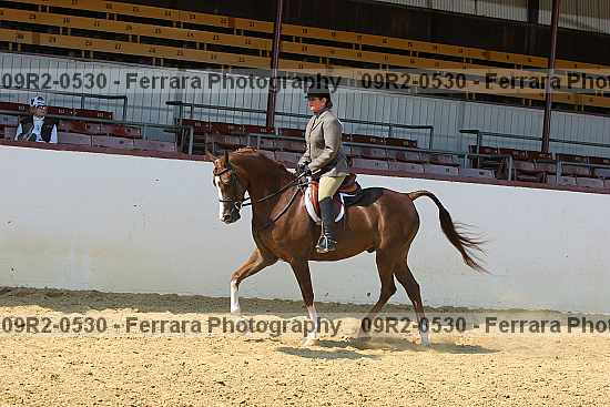 Proof 09r2-0530