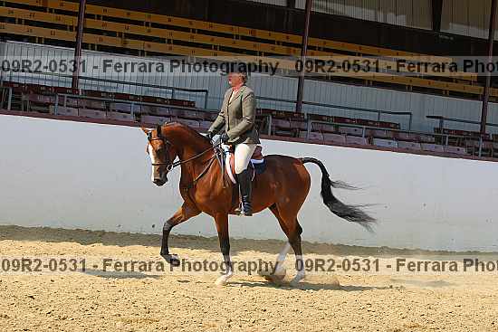 Proof 09r2-0531