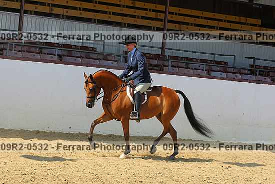 Proof 09r2-0532