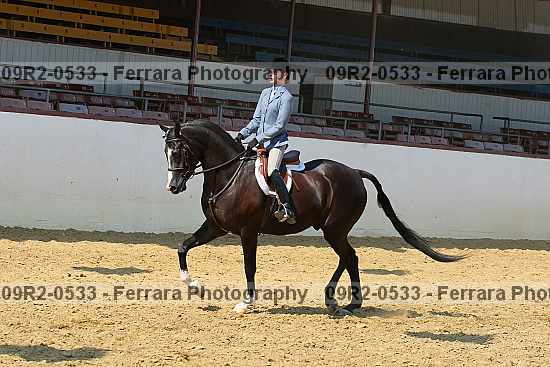 Proof 09r2-0533