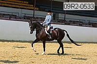09r2-0533 proof