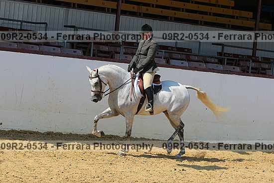 Proof 09r2-0534