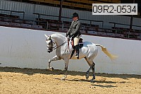 09r2-0534 proof