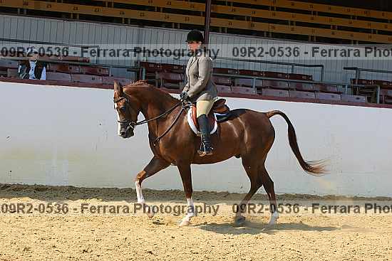 Proof 09r2-0536