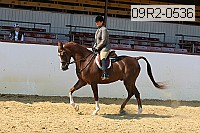 09r2-0536 proof