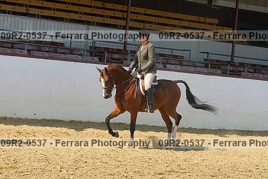 Proof 09r2-0537